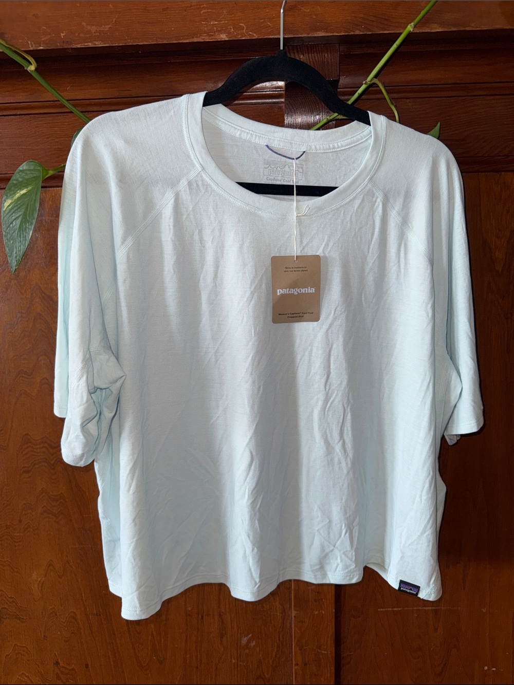 Patagonia Mint Green Crewneck Tee